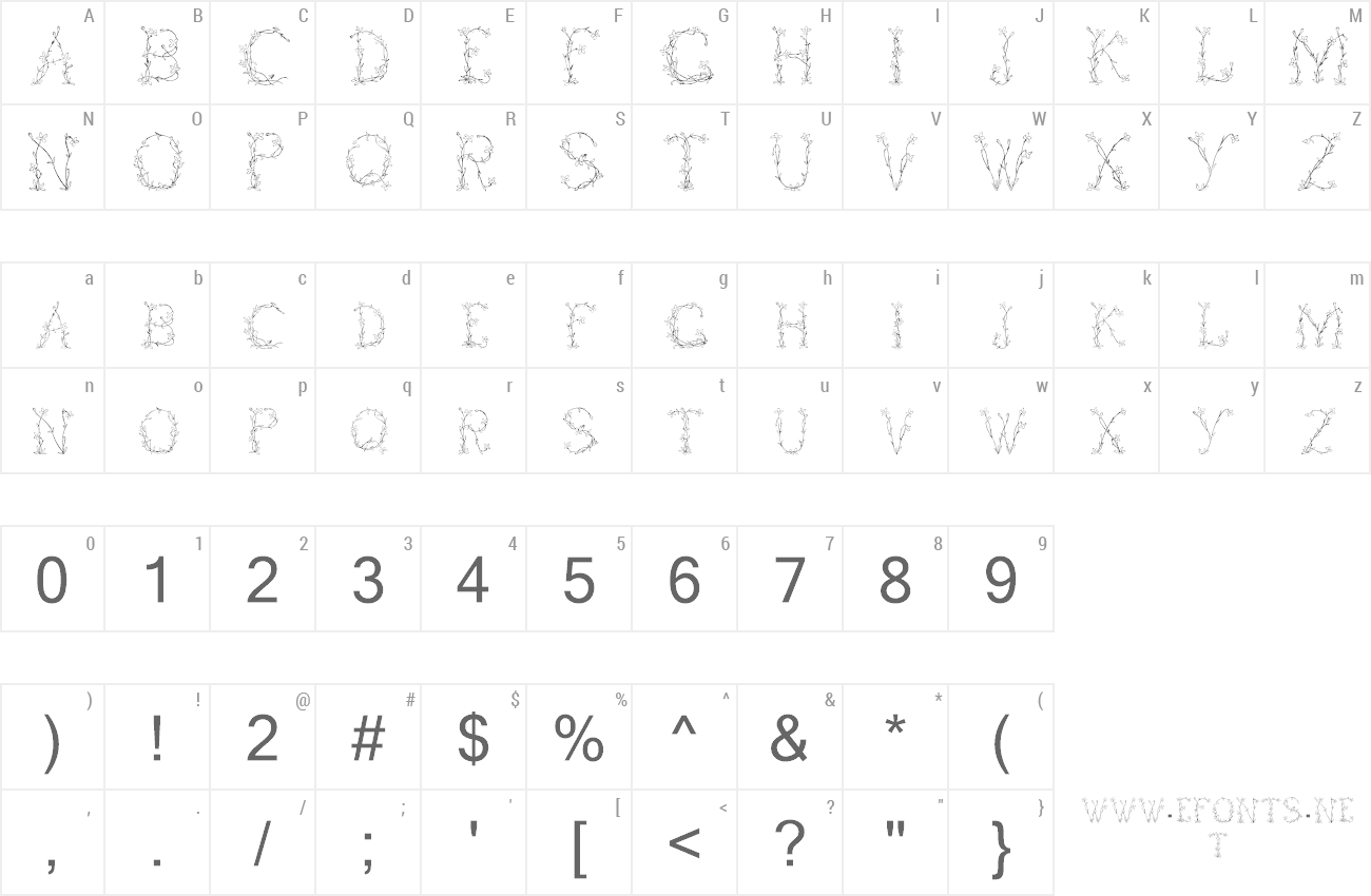 Font Fleurs de Liane preview